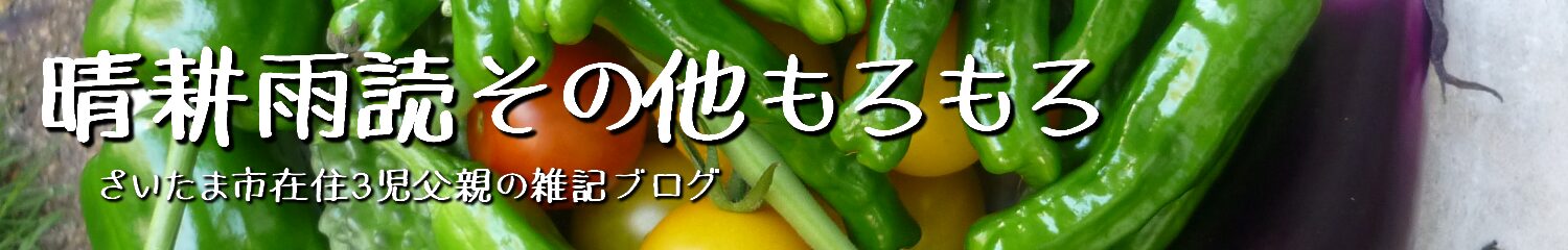 晴耕雨読その他もろもろ