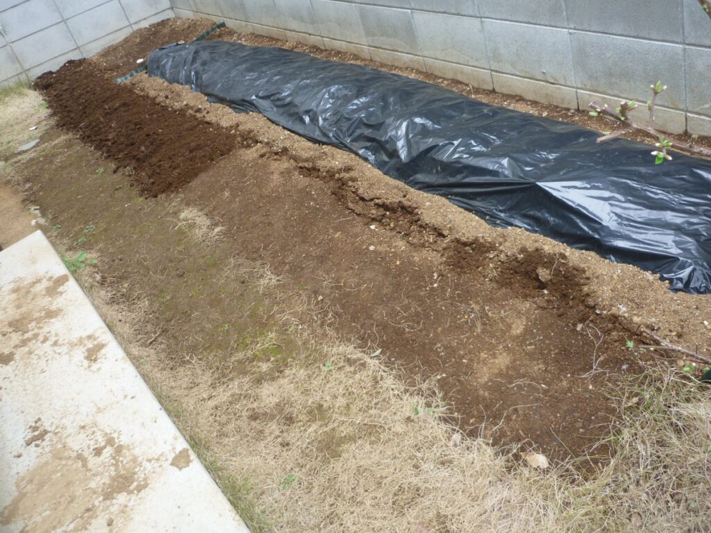 03diy-160321lawn1