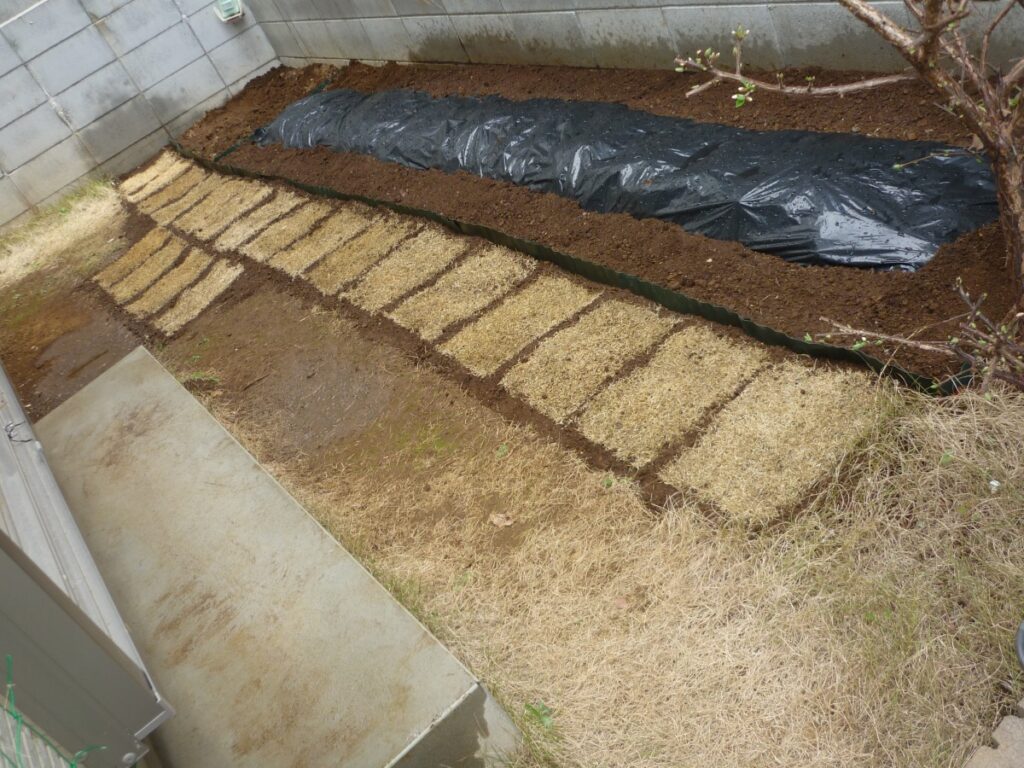 03diy-160321lawn3