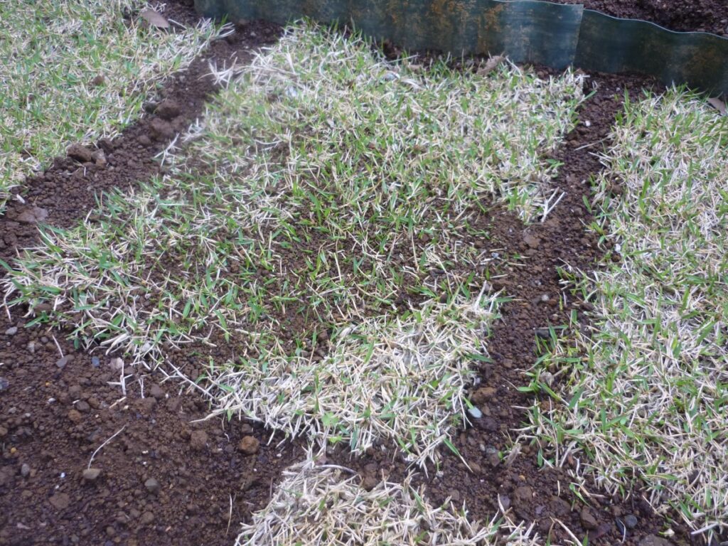 03diy-160408lawn1