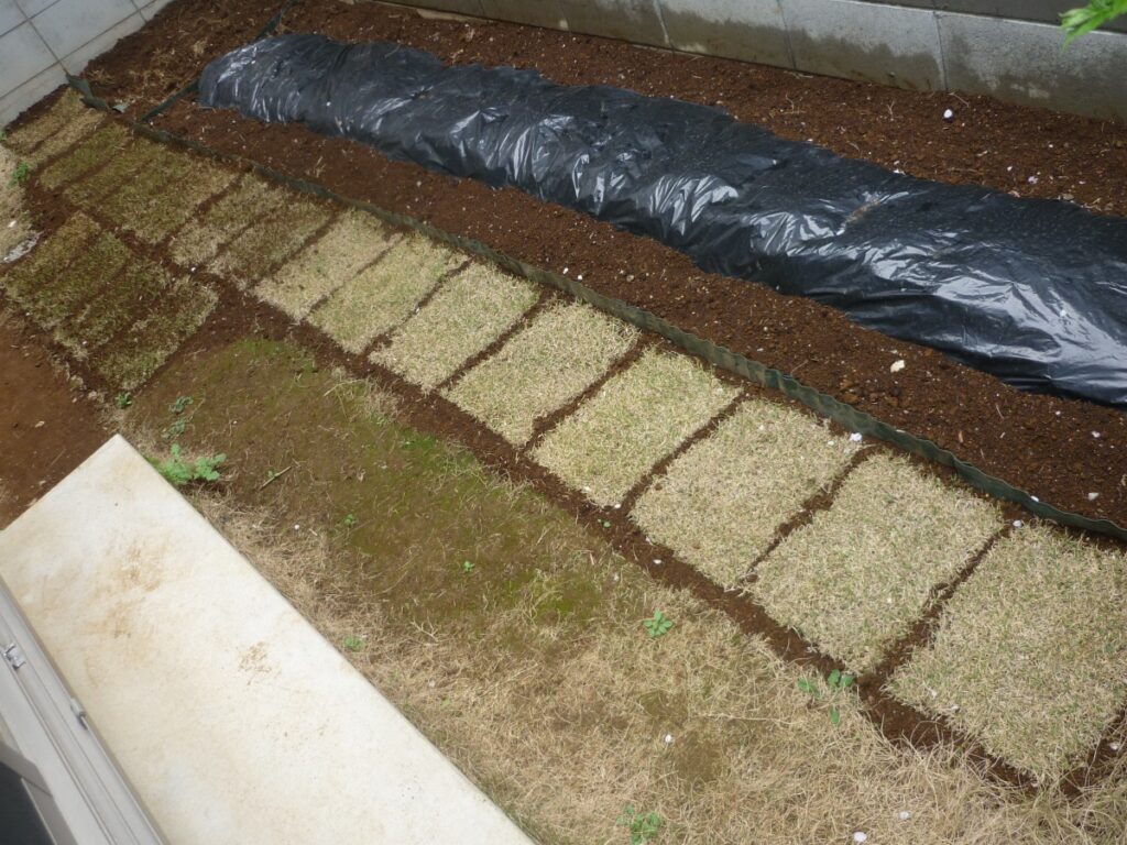 03diy-160408lawn2