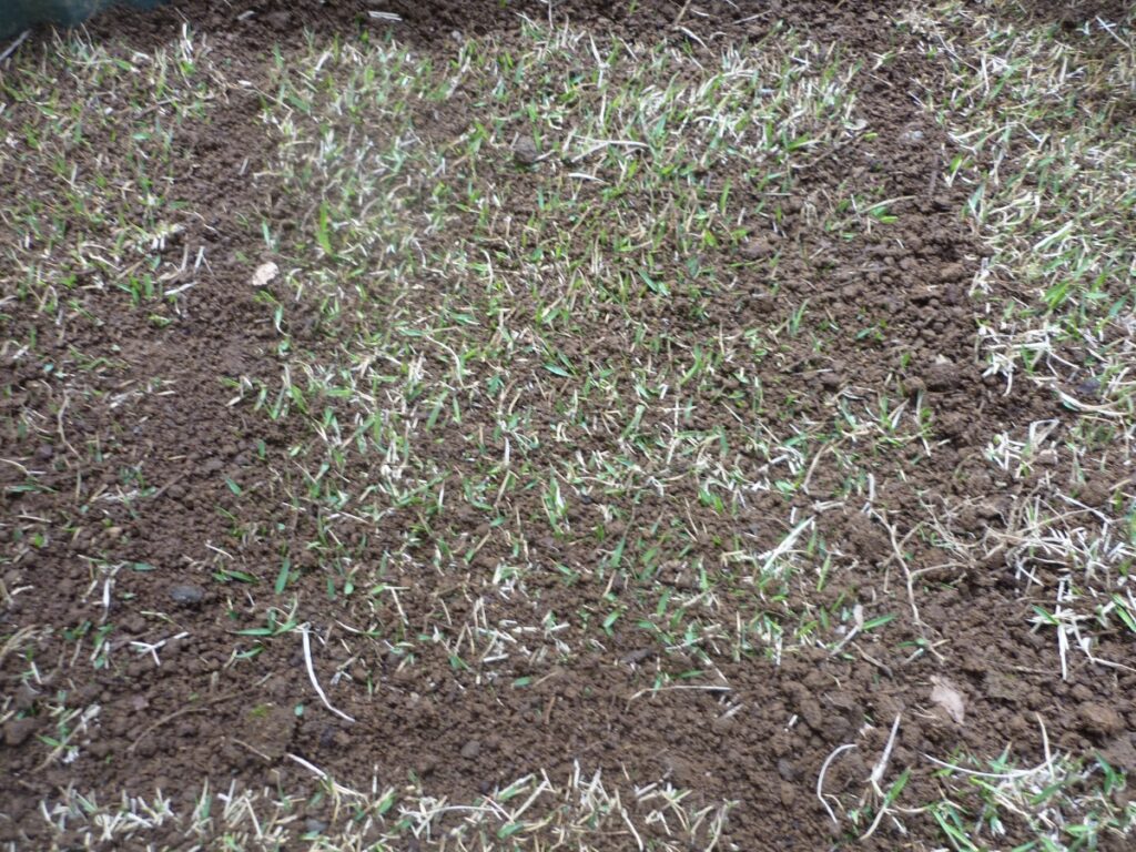 03diy-160408lawn3
