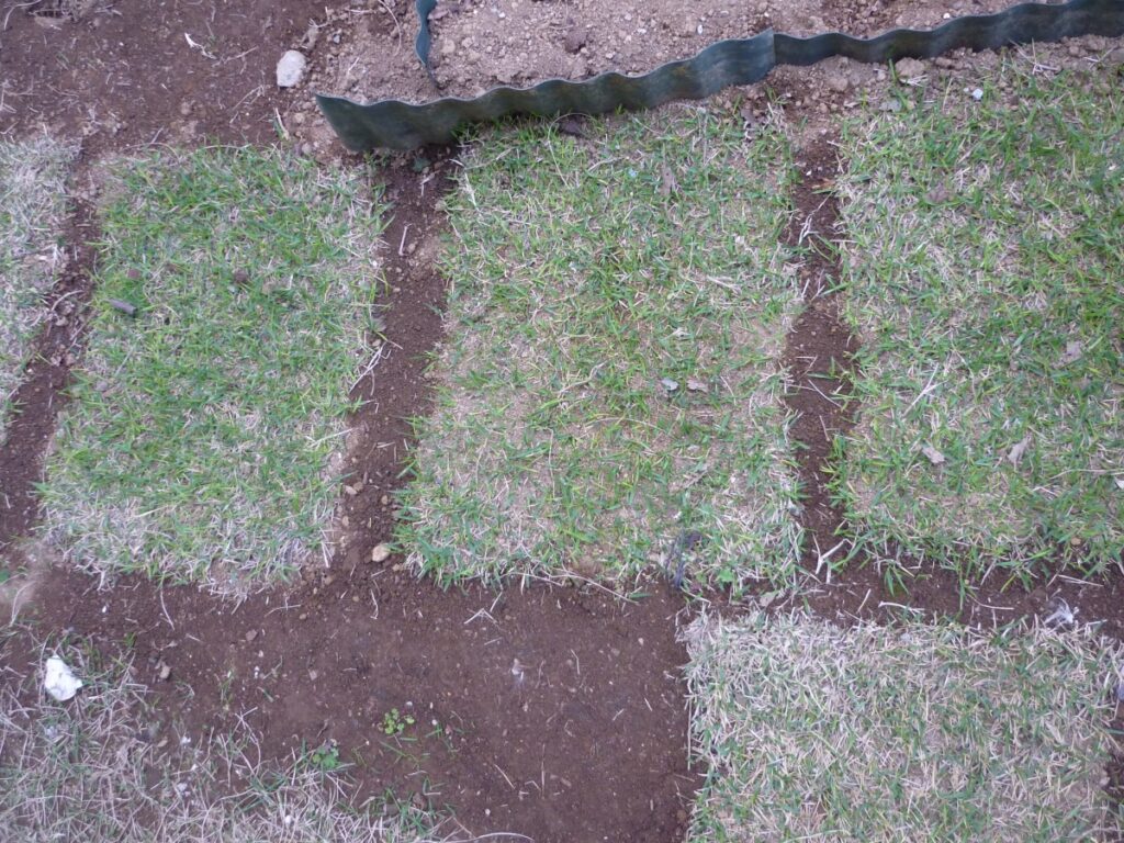 03diy-160420lawn1