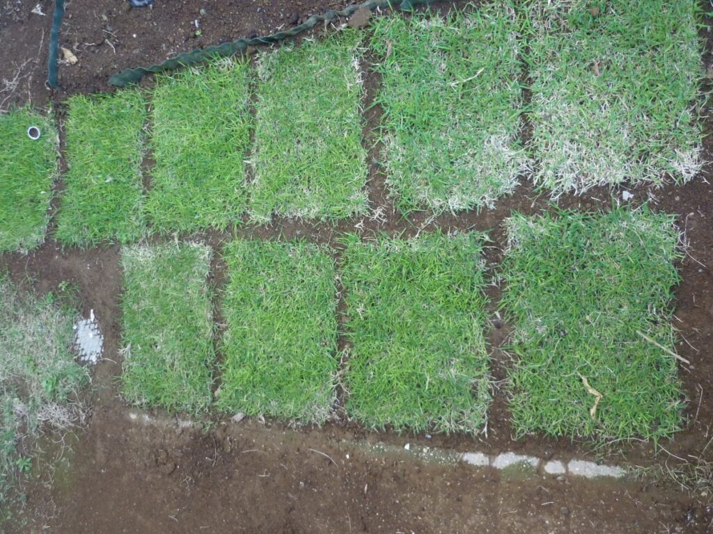 03diy-160429lawn1