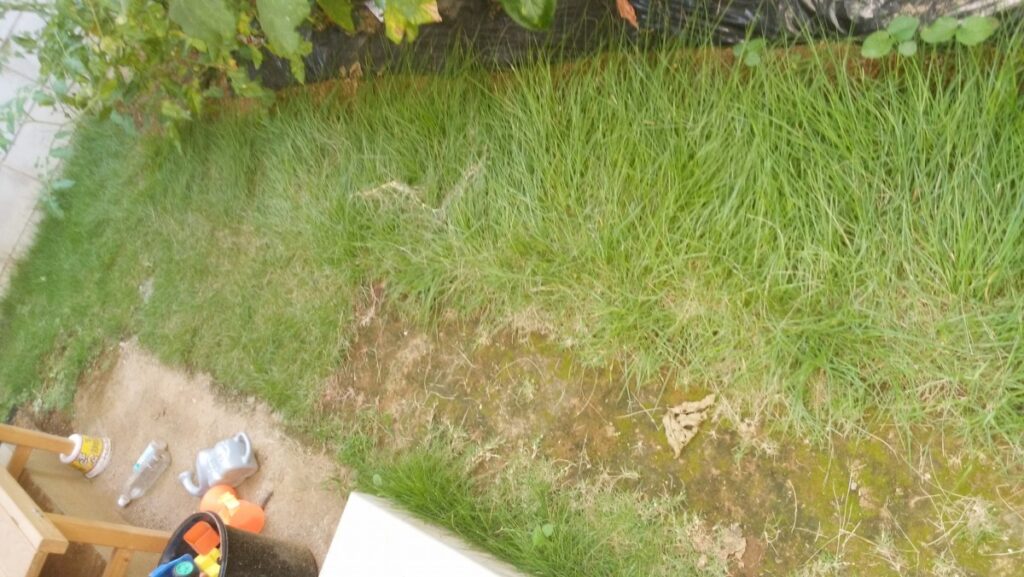 03diy-160731lawn05