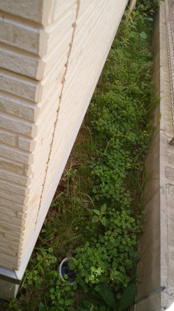 03diy-160731lawn06