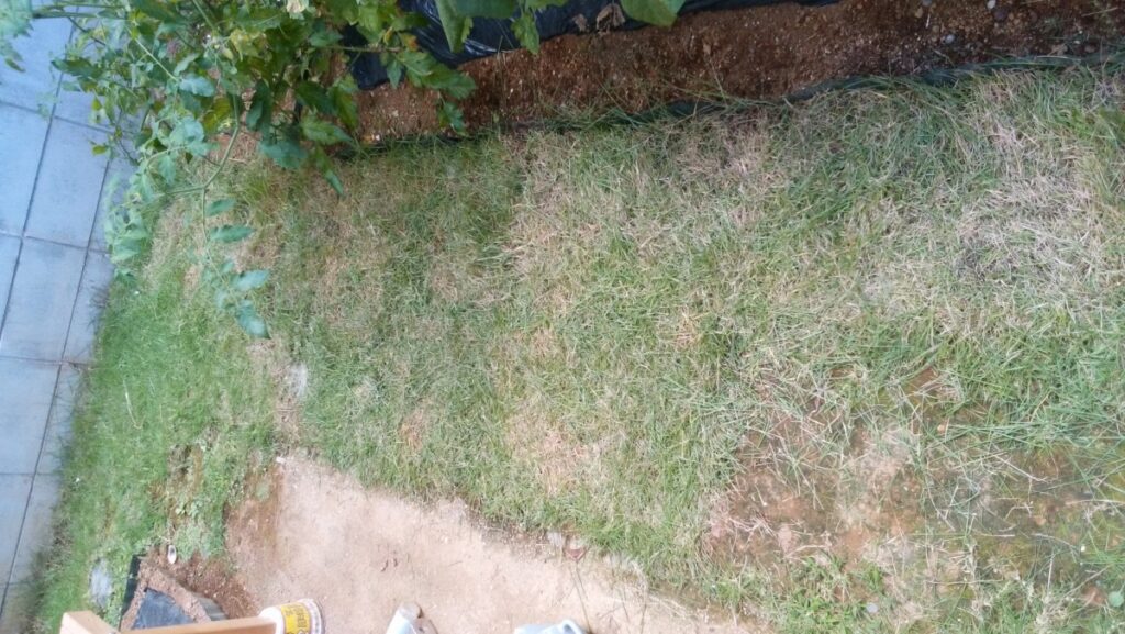 03diy-160731lawn08