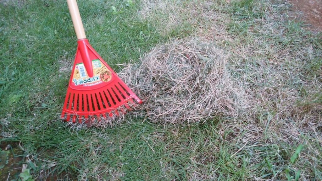 03diy-160731lawn12