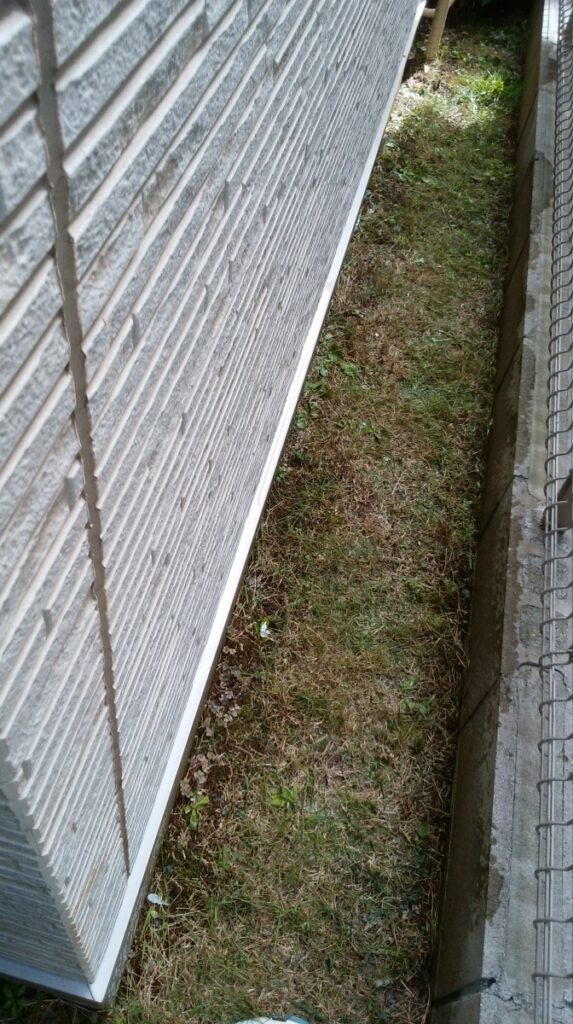 03diy-160731lawn13