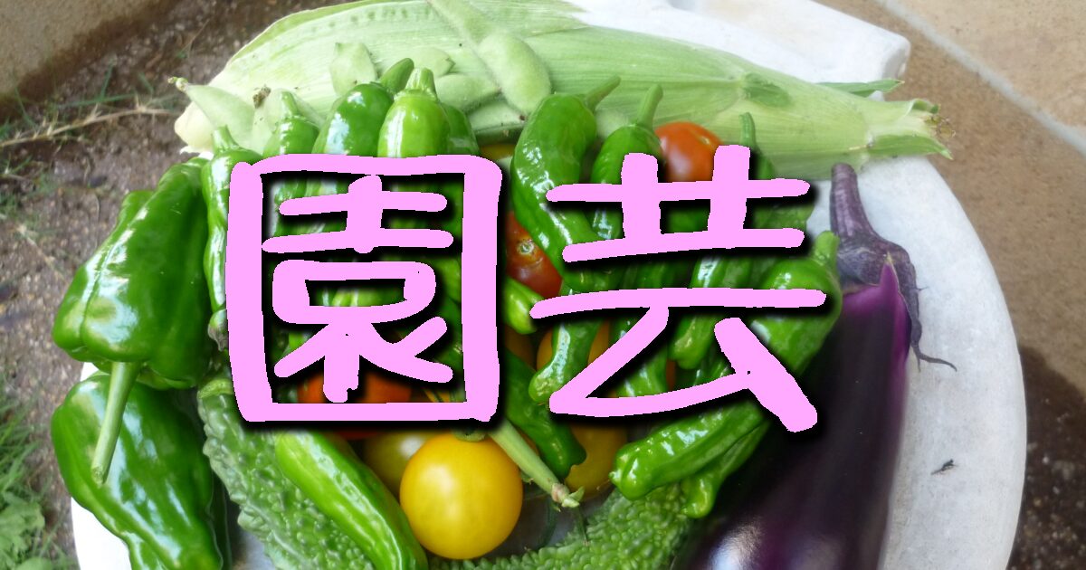 園芸