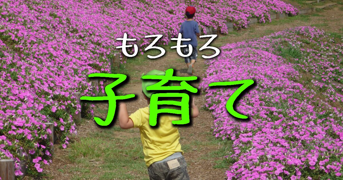 子育て