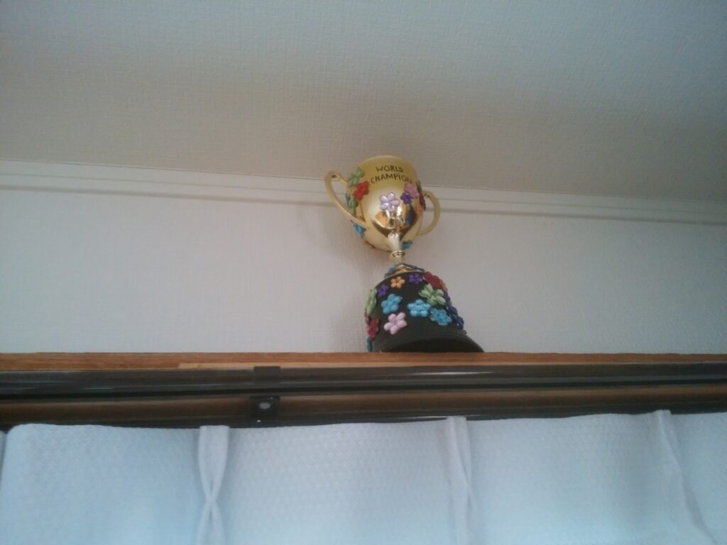03diy-170320shelf11