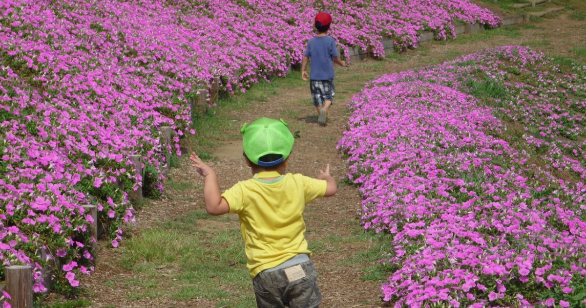 08outgoing-150803chiba00