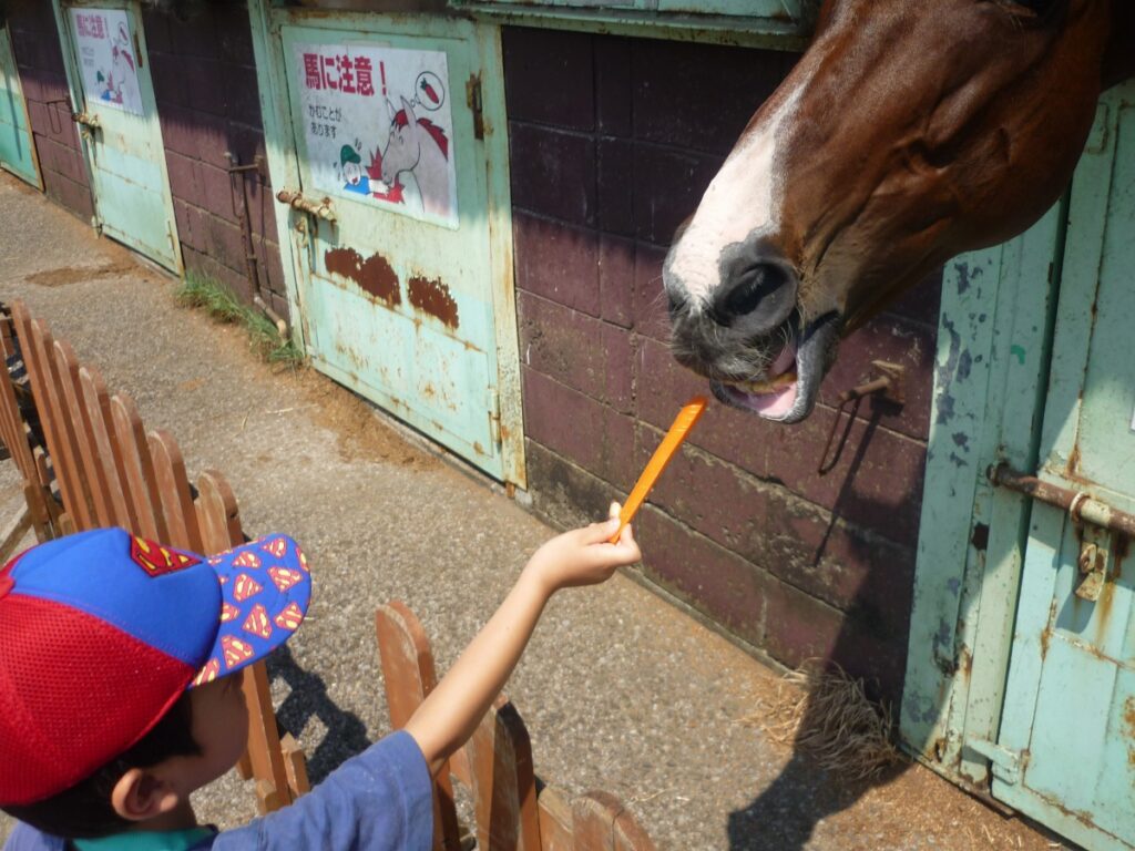 08outgoing-150803chiba06