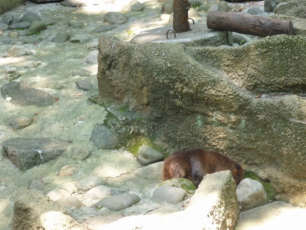 08outgoing-150804chiba04