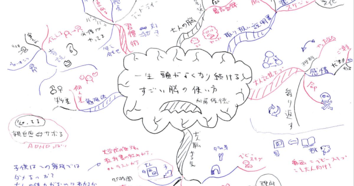 02book-230108brain0