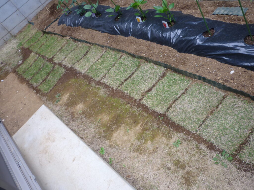 03diy-160417lawn